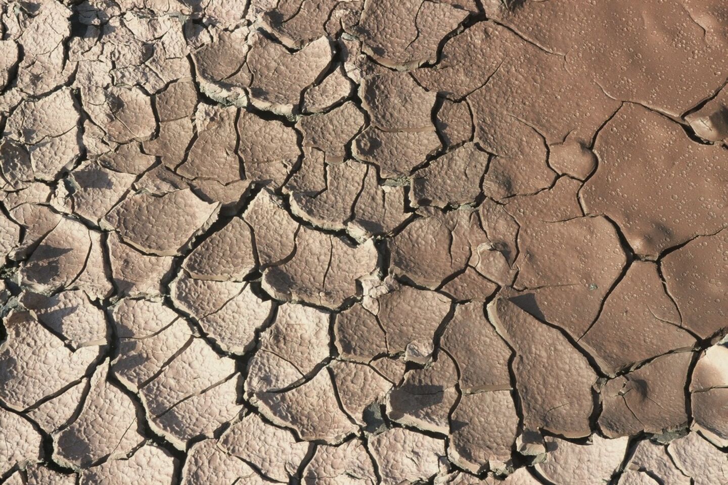 Le phénomène de retrait-gonflement des sols argileux