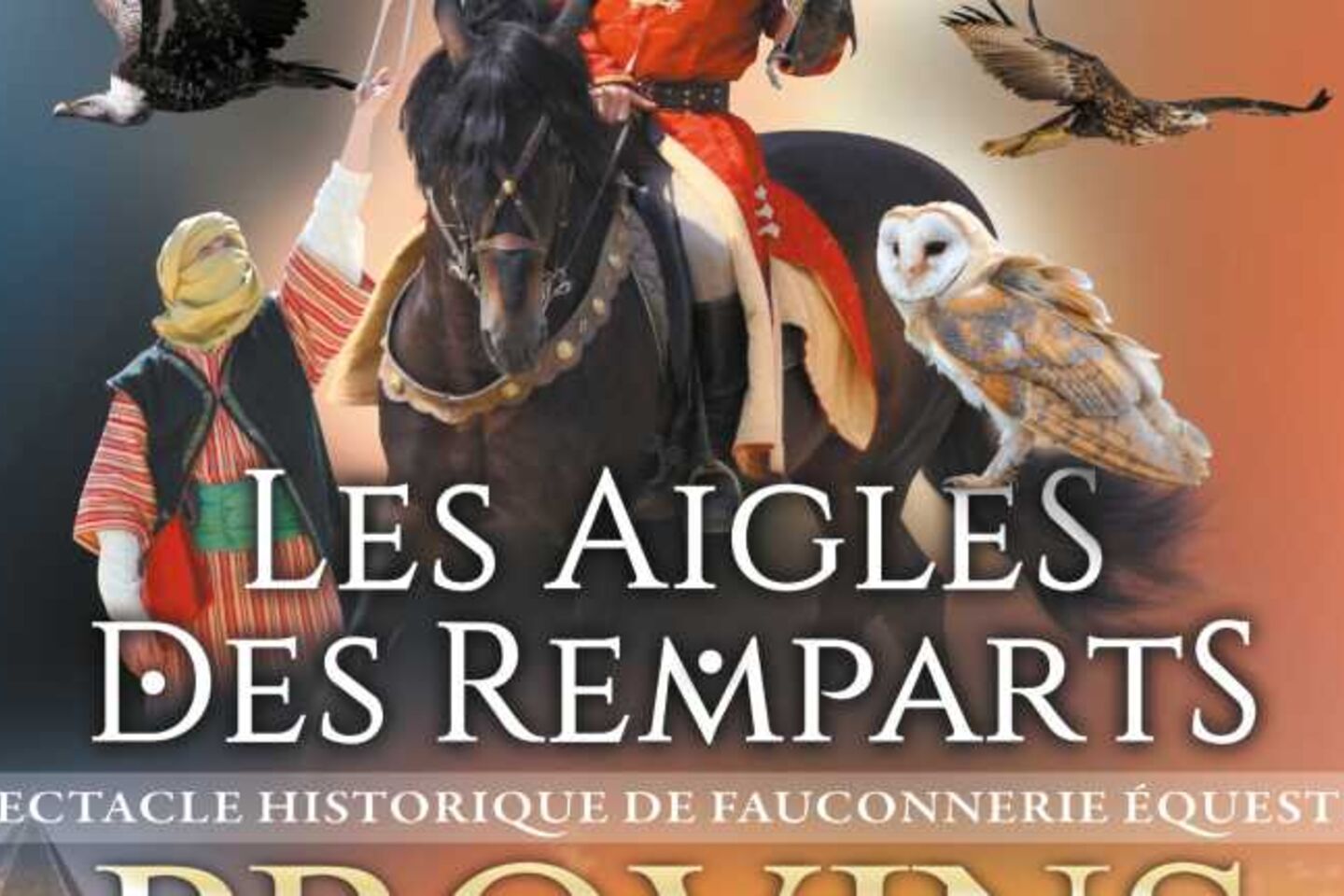 Les aigles des remparts 