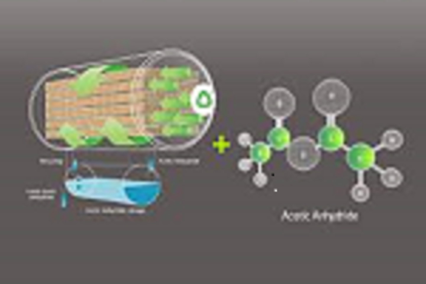 LE BOIS MODIFIE PAR ACETYLATION