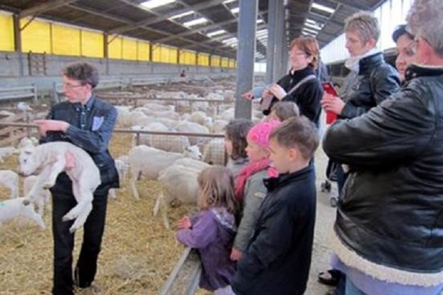 Agnelage et visites guidées à la ferme du Lion d'or