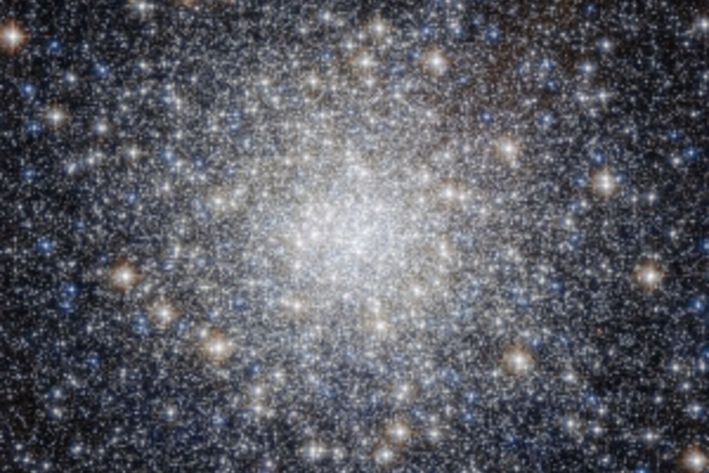 LA NUIT DES ETOILES