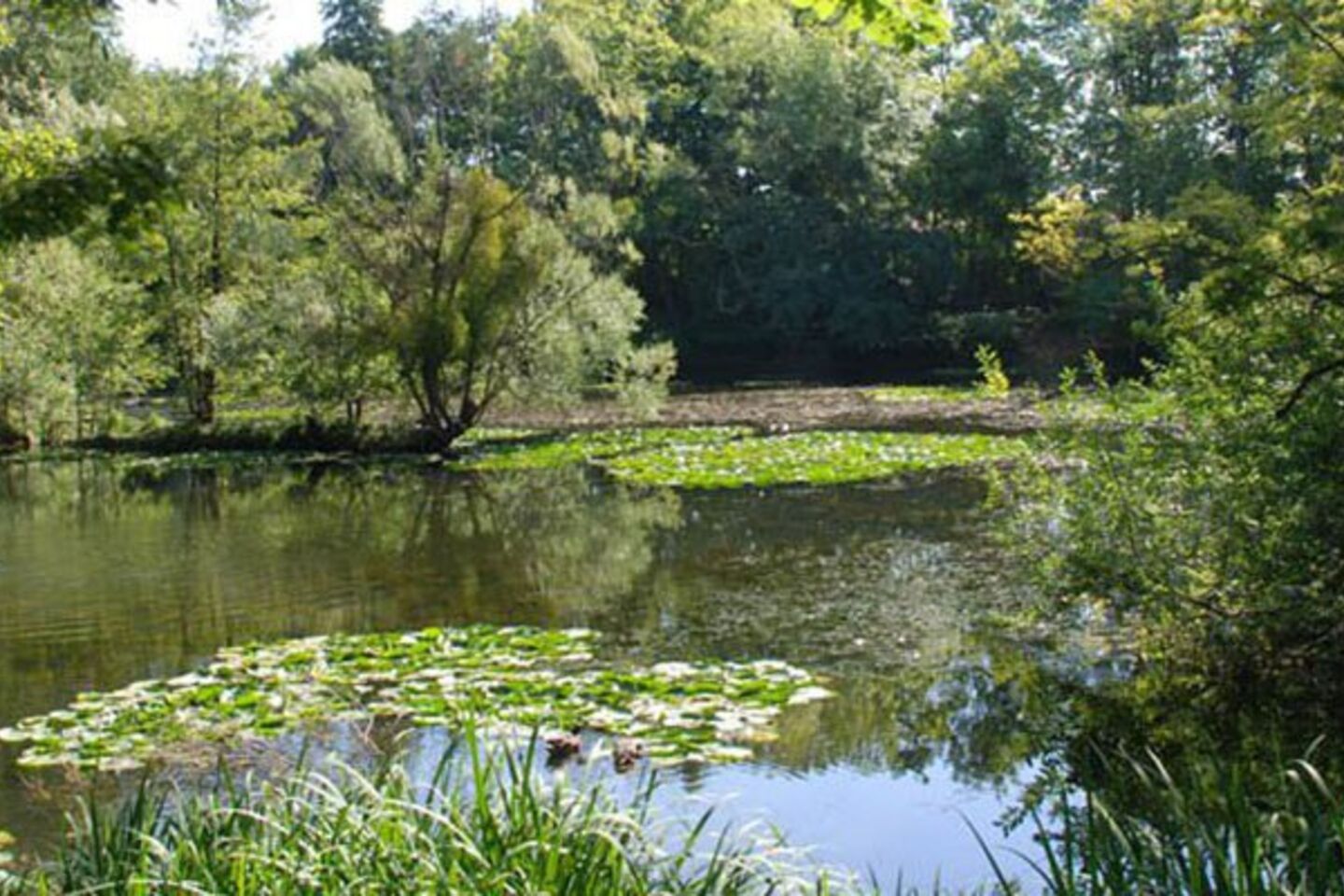 Parc Pierre Pitois 