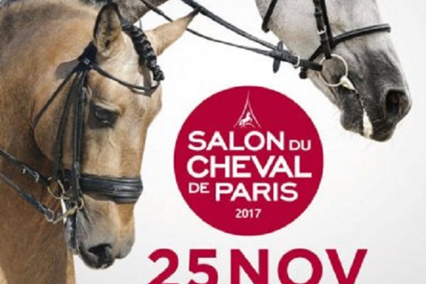 Salon du cheval 