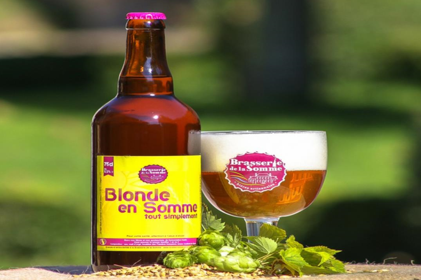 Visite de la brasserie de la Somme