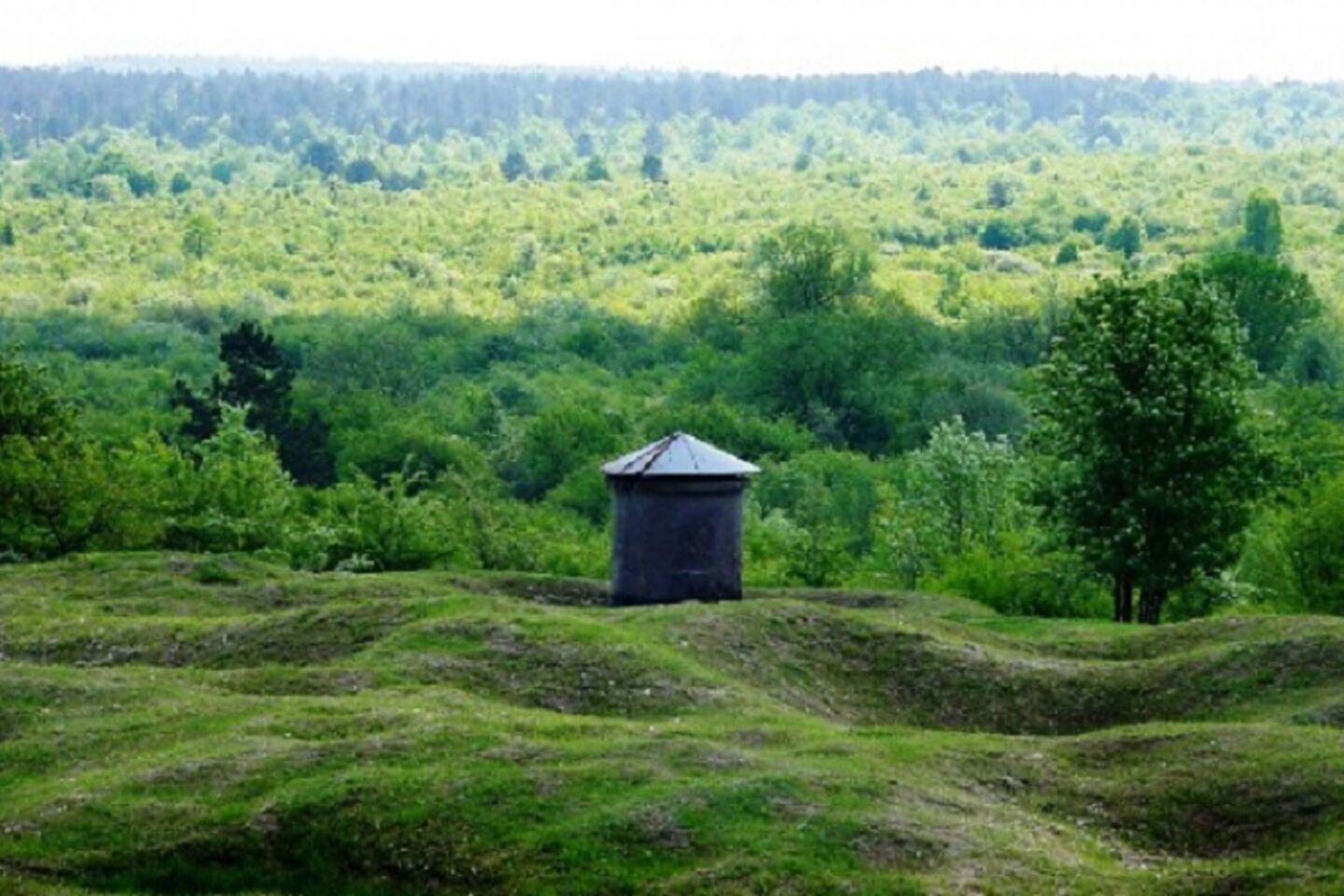 Balades "Forêts de l'Histoire 14-18