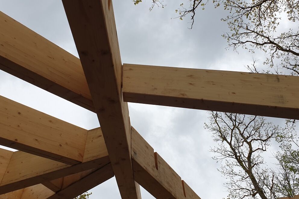 Charpente traditionnelle, Poursuite des travaux au Château de Guedelon, Yonne, Treigny, château de Guedelon - Martin Charpentes