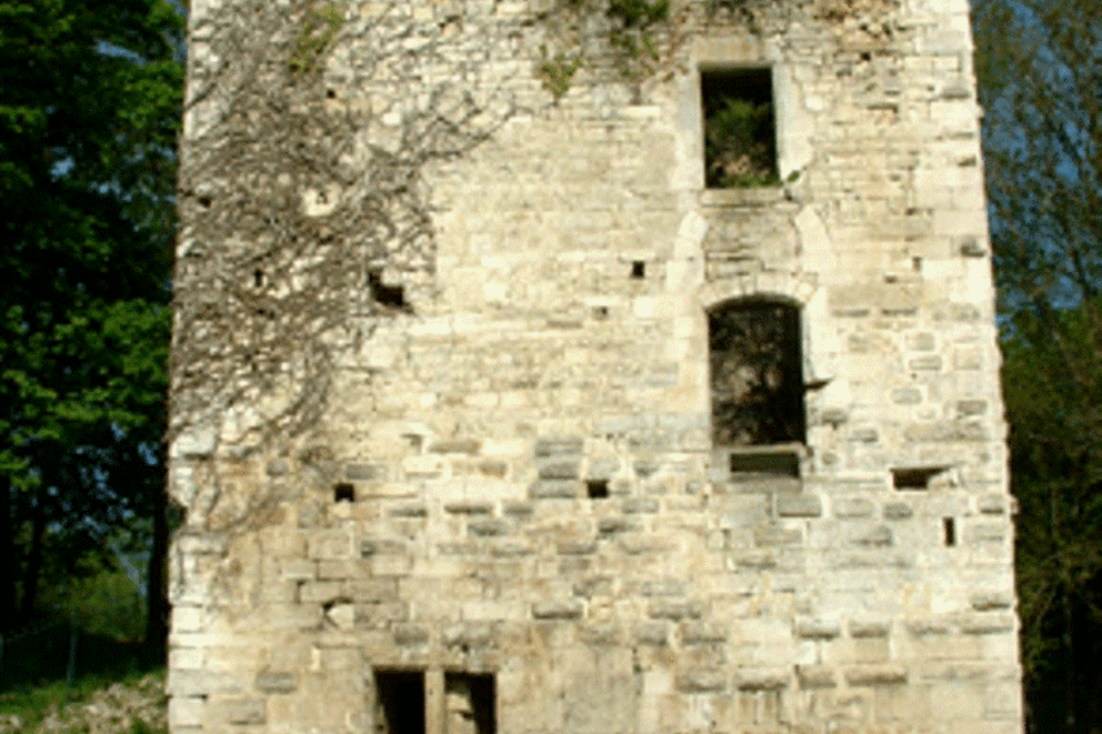 Charpente traditionnelle, Donjon de Vignory, Haute Marne, VIGNORY, donjon_11 - Martin Charpentes