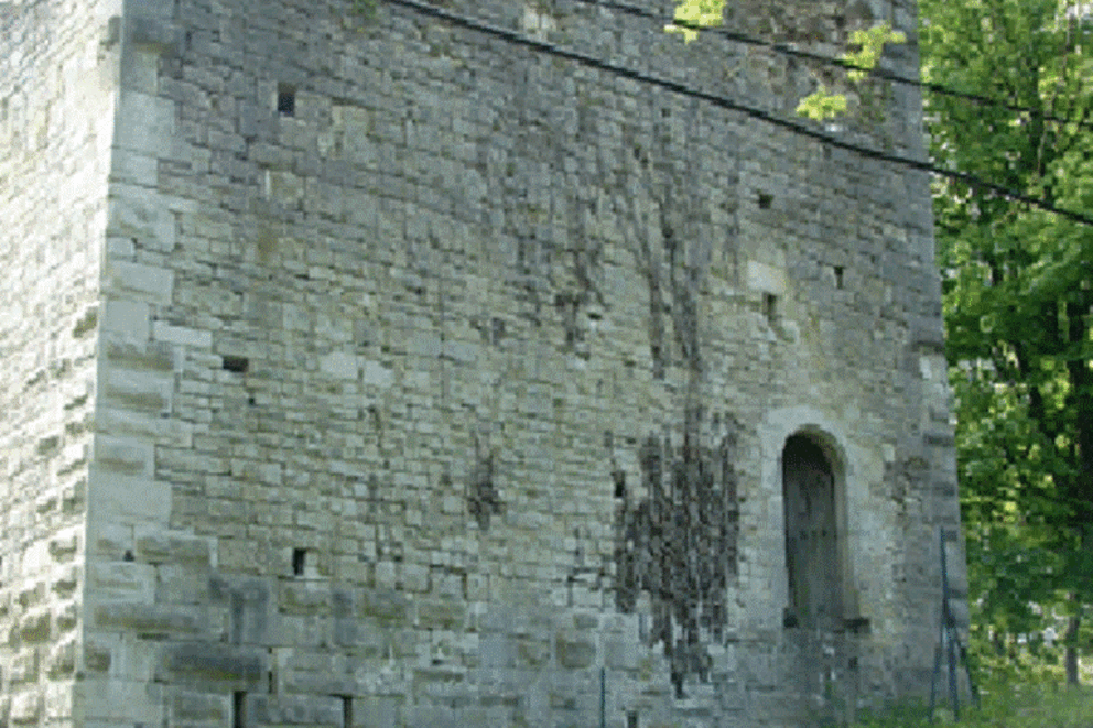 Charpente traditionnelle, Donjon de Vignory, Haute Marne, VIGNORY, donjon_5 - Martin Charpentes