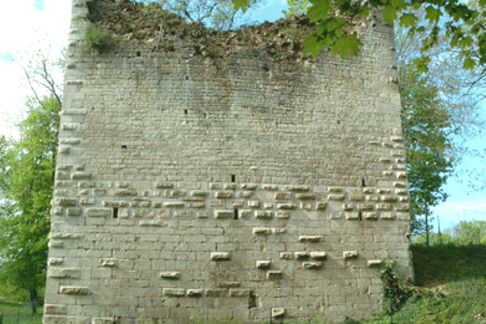 Charpente traditionnelle, Donjon de Vignory, Haute Marne, VIGNORY, donjon_9 - Martin Charpentes