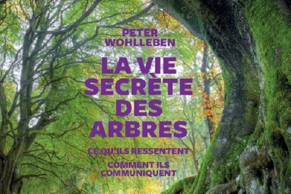 La vie secrète des arbres 