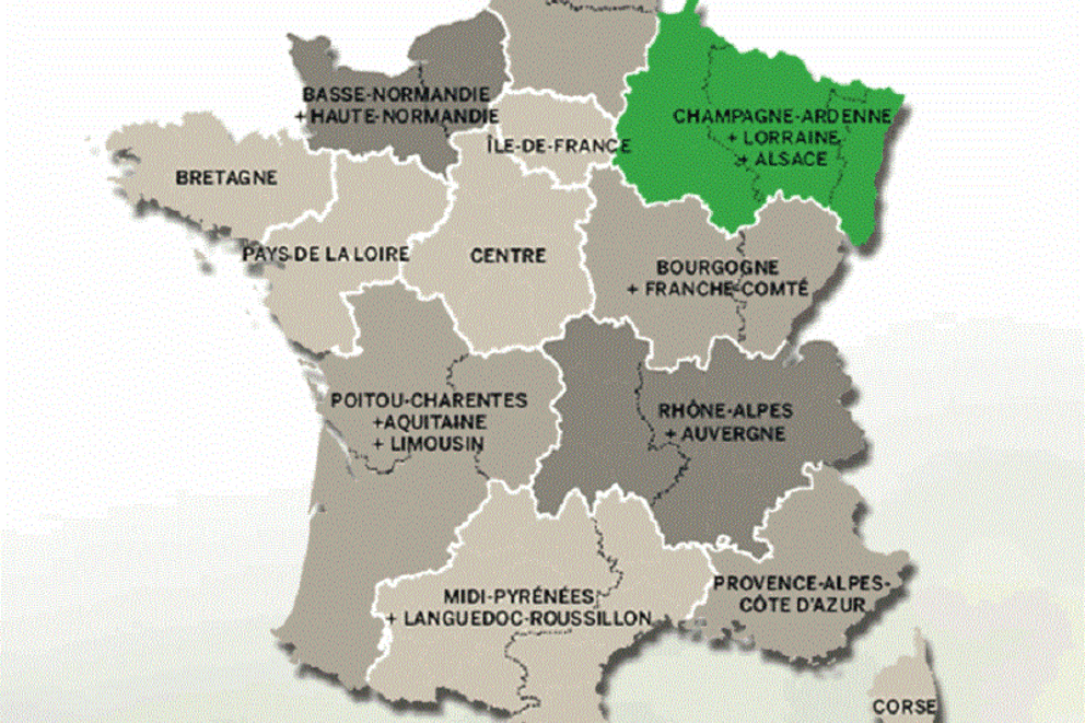 Filière bois : région Grand Est - partie 2