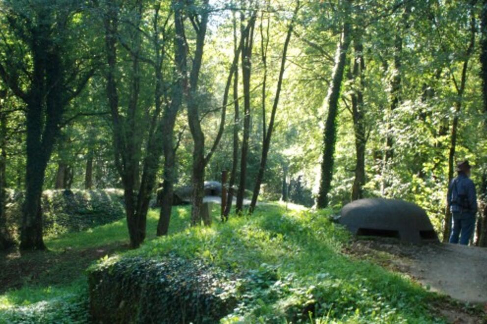 Verdun 14/18, une forêt labellisée "Forêt d'Exception"