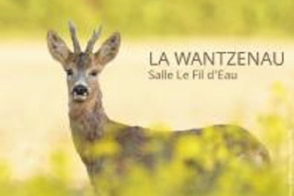 1er salon photo nature 
