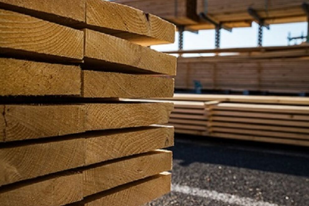 Le prix du bois explose : artisans en danger, particuliers en colère