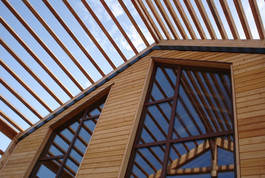 Entreprise construction maisons contemporaines : maison ossature bois moderne, meurthe et moselle – Martin charpentes